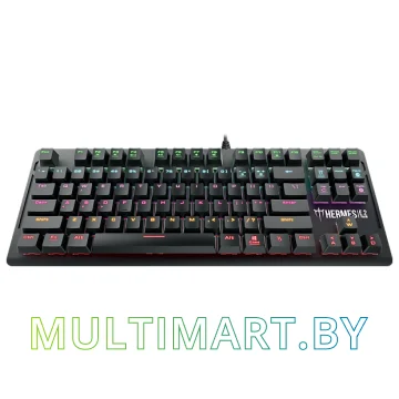 Клавиатура Gamdias Hermes E2 (Red Switches) картинка 4